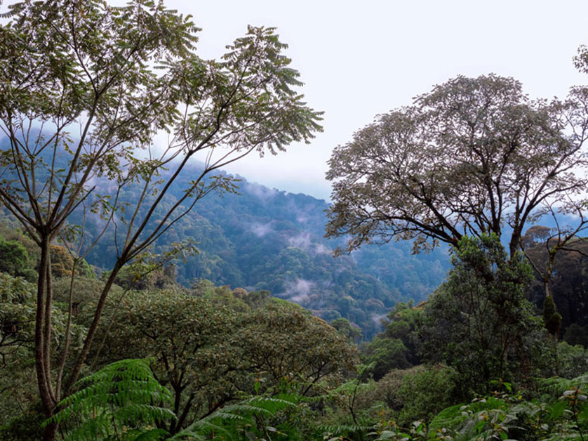 bwindi biking safari experience